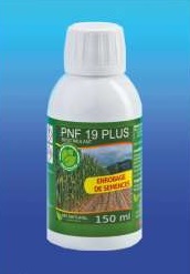 PNF19 PLUS